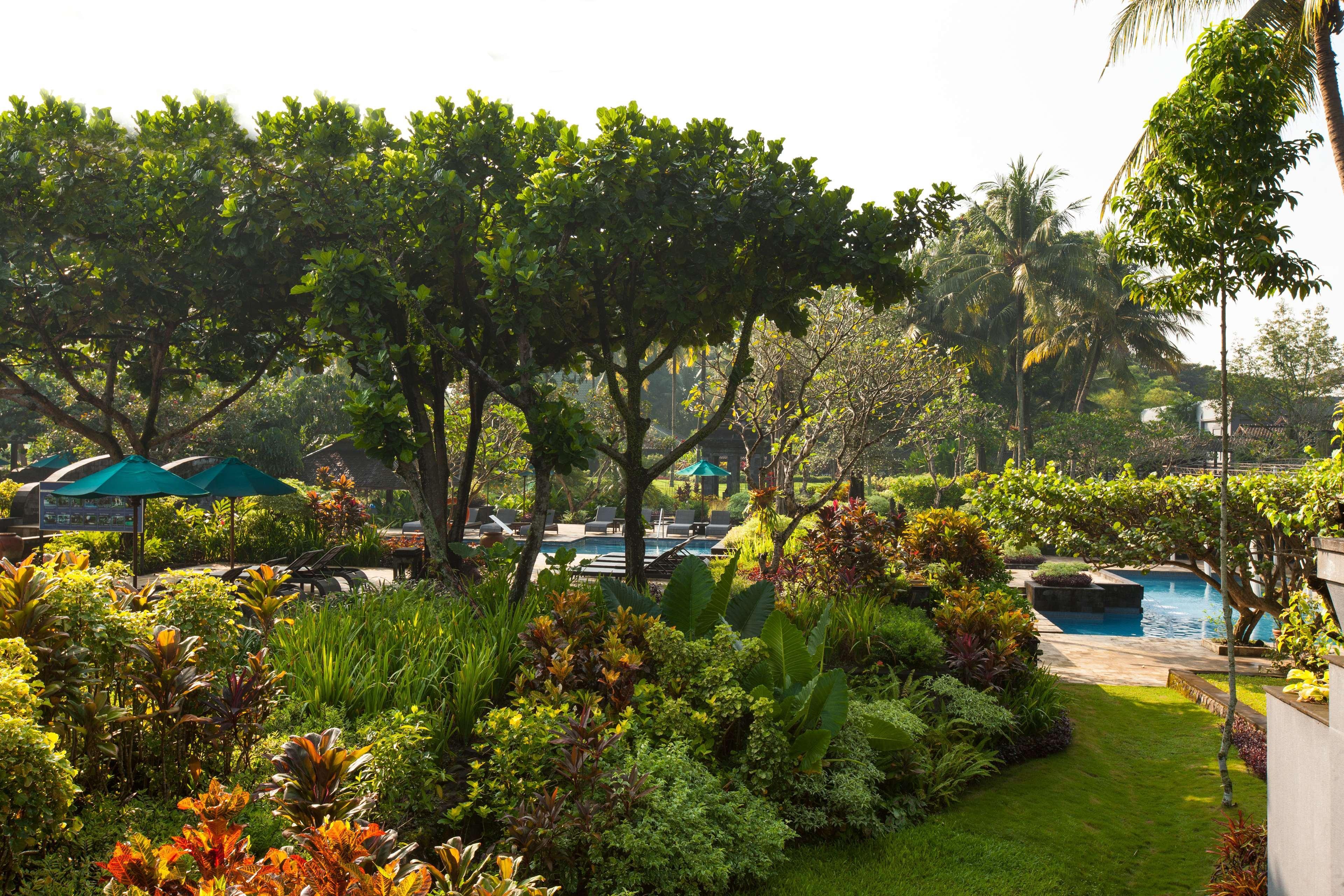 Hyatt Regency Yogyakarta Hotel Sleman  Exterior foto The pool at the Royal Hawaiian Hotel